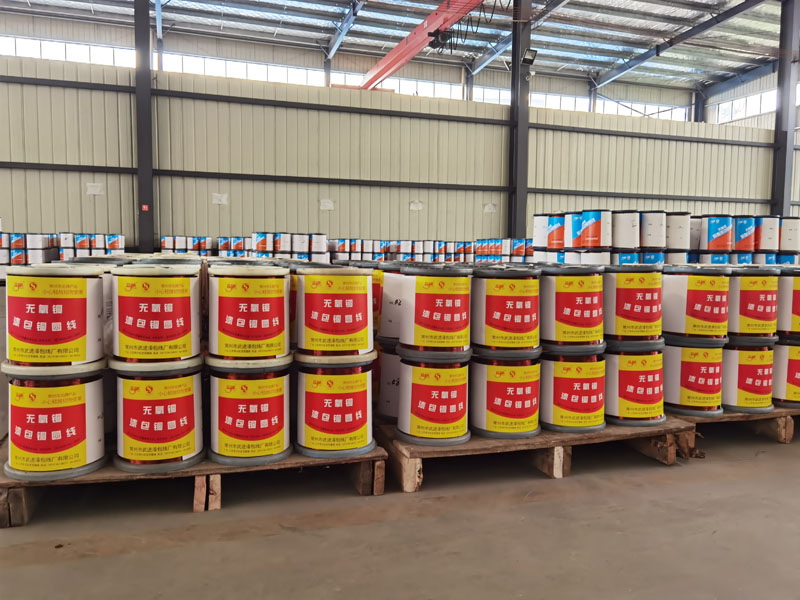 �c���鿴��